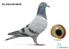 PL-034-25-5019 linia DAKARA