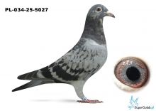 PL-034-25-5027 wnuk DAKARA