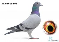 PL-034-25-691 syn DAKARA