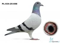 PL-034-25-698  syn DAKARA