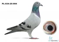 PL-034-25-994 syn DAKARA