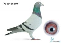 PL-034-25-999 lub do wyboru PL-034- 25- 693   - syn DAKARA