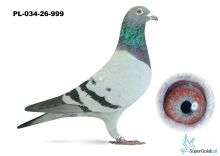 PL-034-25-999 lub do wyboru PL-034- 25- 693   - syn DAKARA