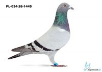 PL-034-26-1445 - wnuk COMY  srebny medal kat I  