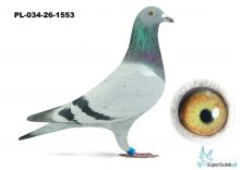 PL-034-26-1553  linia DAKAR x linia Vandenabeele