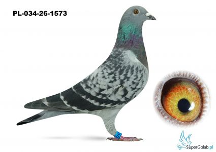 PL-034-26-1573 - wnuczka DAKARA