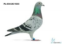 PL-034-26-1633 Linia KARIN - 2 miejsce olimpiada  kat E 