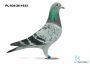 PL-034-26-1633 Linia KARIN - 2 miejsce olimpiada  kat E 