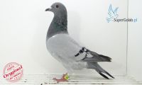PL-0340-19-5470
