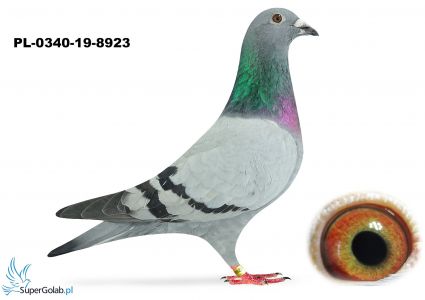 PL-0340-19-8923