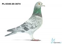PL-0340-20-3674
