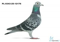 PL-0343-25-12176 3. OKRĘG KONIN