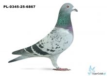 PL-0345-25-6867 9. OKRĘG WŁOCŁAWEK 