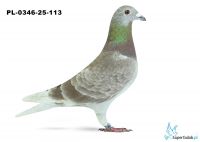 PL-0346-25-113  15. OKRĘG WROCŁAW