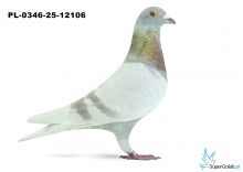 PL-0346-25-12106 15. OKRĘG WROCŁAW