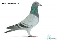 PL-0346-25-2071 15. OKRĘG WROCŁAW