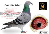 PL-0346-26-14764 prawnuczka 2 topowych ASÓW OLR KRAKUS / 2 ASA POLSKI