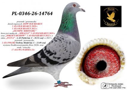 PL-0346-26-14764 prawnuczka 2 topowych ASÓW OLR KRAKUS / 2 ASA POLSKI