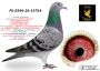PL-0346-26-14764 prawnuczka 2 topowych ASÓW OLR KRAKUS / 2 ASA POLSKI