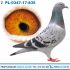 PL-0347-17-835 Grzegorz Cymer