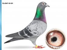 PL-0347-19-101 - UNIKAT SYN 418