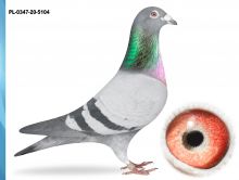 PL-0347-20-5104 - UNIKAT SYN 1-GO LOTNIKA OKRĘGU