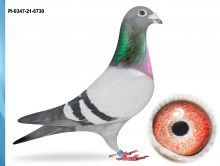 PL-0347-21-6730 - SUPER LOTNIK ZDOBYWCA 2X1 KONK.