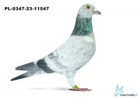 PL-0347-23-11547