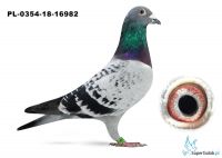 PL-0349-18-16982