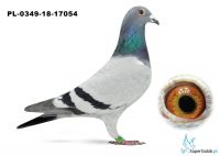 PL-0349-18-17054