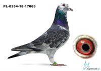PL-0349-18-17063