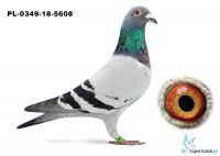 PL-0349-18-5608