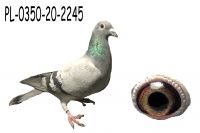 PL-0350-20-2445