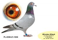 PL-0350-21-1030 „Specjalne kojarzenia - Inbred RZEPKI z kojarzenia Ojciec x córka + brat x siostra ”