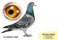 PL-0350-21-1045 Prawnuk / prawnuczka Olimpijczyka „267” oraz wnuk Super SCHALI