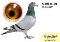 PL-0350-21-1084 org. M. Klimek z linii