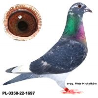 PL-0350-22-1697