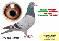 PL-0350-25- 11056   wnuczka  NATALII   x  linia GENERAŁA od MTM PAŁKI x AS 10086!!!