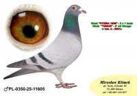 PL-0350-25- 11605    Super kojarzenie na PITERA !!!