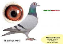 PL-0350-25-11615. SPEEDA  i  wnuczka „SAGAN”