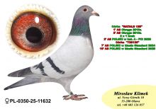 PL-0350-25- 11632  NATALII x 7’ AS Polski