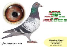 PL-0350-25-  11633   NATALIA x 7’ AS Polski