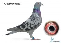 PL-0350-26-5263  - 44 gołąb z finału   -  Żygadło Zdzisław