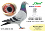 PL-0350-26-6180   Inbred TYTAN – linia  HENRII MENTENA x wnuk GENERAŁA od MTM PAŁKI !!!