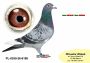 PL-0350-26-6198    linia KNURA i Natalii