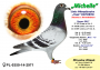 PL-0350-26-6619     Super SCHALI x Rzepka
