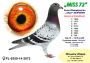 PL-0350-26-6619     Super SCHALI x Rzepka