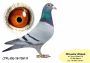 PL-0350-26- 6620    Super SCHALI x Rzepka