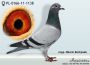 PL-0350-26-6633   Linia  Olimpia Wegielek x Olimpia DEPORTO