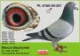 PL-0350-26-6633   Linia  Olimpia Wegielek x Olimpia DEPORTO